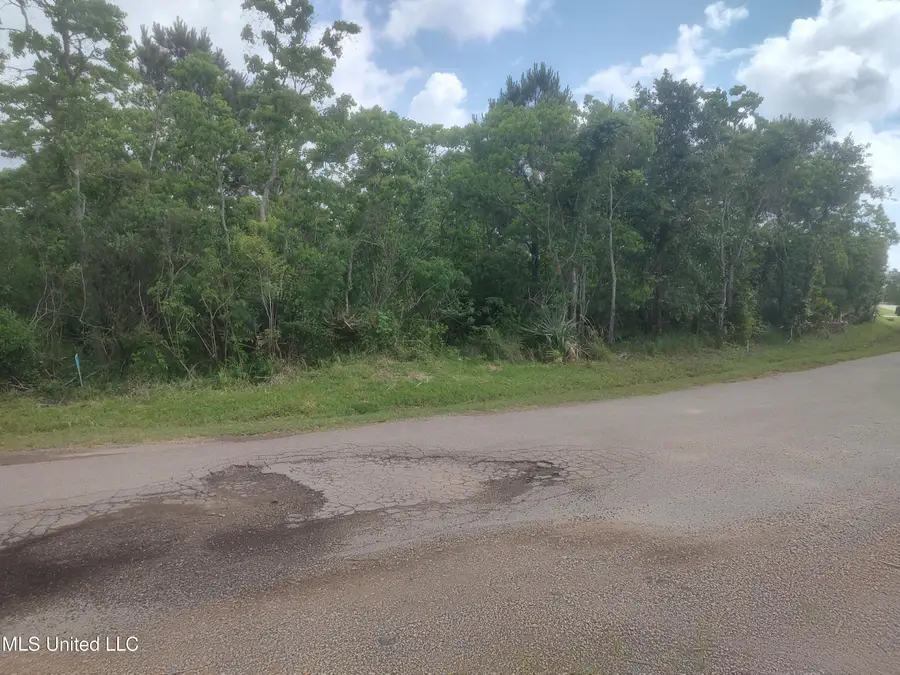 11474 Bayou View Drive, Bay Saint Louis, MS 39520 - #2