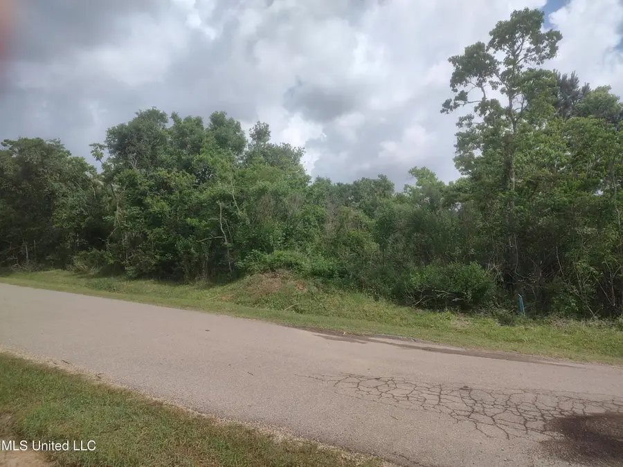 11474 Bayou View Drive, Bay Saint Louis, MS 39520 - #3