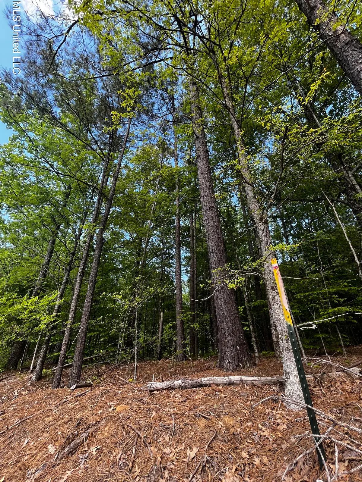 0 Bend Road, Coldwater, MS 38618 - Image #1