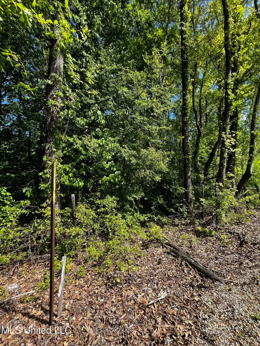 0 Bend Road, Coldwater, MS 38618 - Image #2