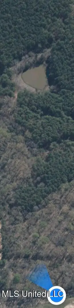 0 Bend Road, Coldwater, MS 38618 - Image #3