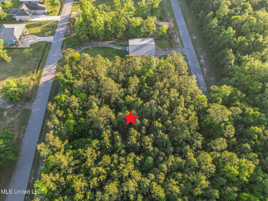 000 Coelho Way, Diamondhead, MS 39525 - Image #3