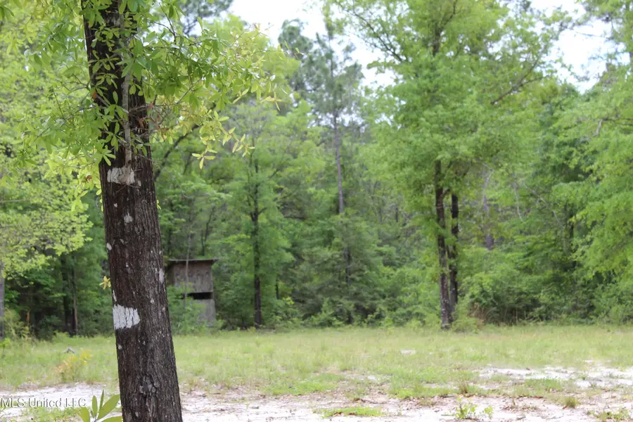 87.6 Acres Rousanville Road, Leakesville, MS 39451 - Image #3