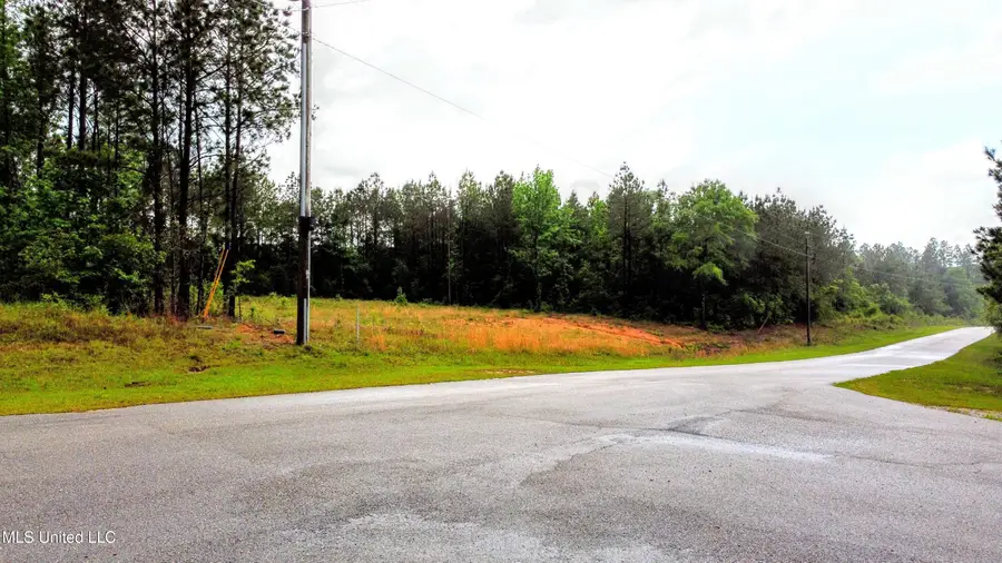 36 E Stonegate Boulevard, Perkinston, MS 39573 - Image #2