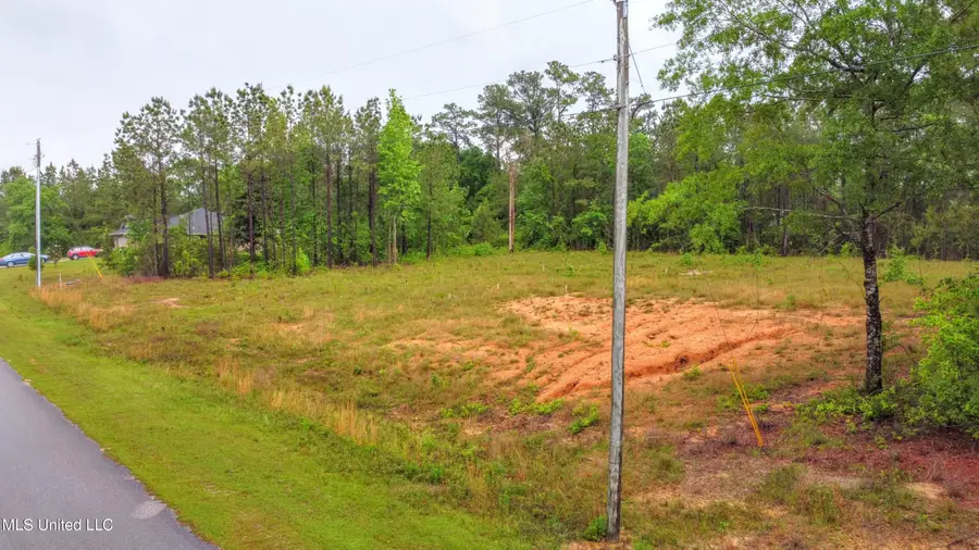 36 E Stonegate Boulevard, Perkinston, MS 39573 - Image #3