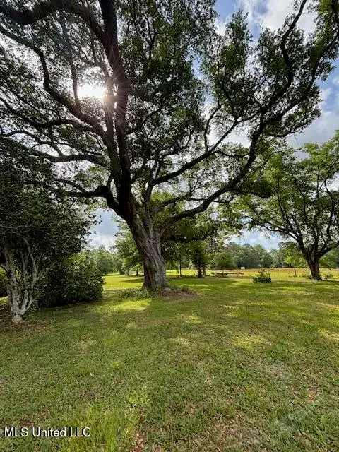 15521 Old River Road, Vancleave, MS 39565 - Image #1