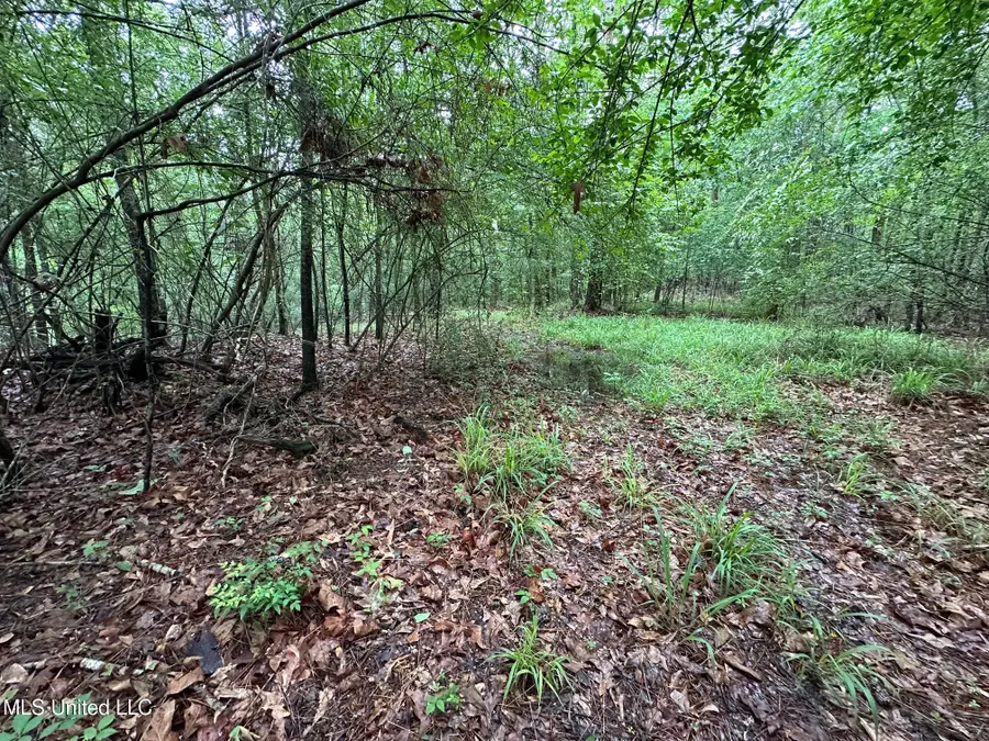 101 Madlyn Drive, Florence, MS 39073 - Image #3