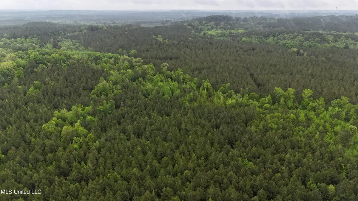 Bethlehem Road, Lauderdale, MS 39335 - Image #1