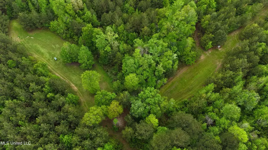 Bethlehem Road, Lauderdale, MS 39335 - Image #3