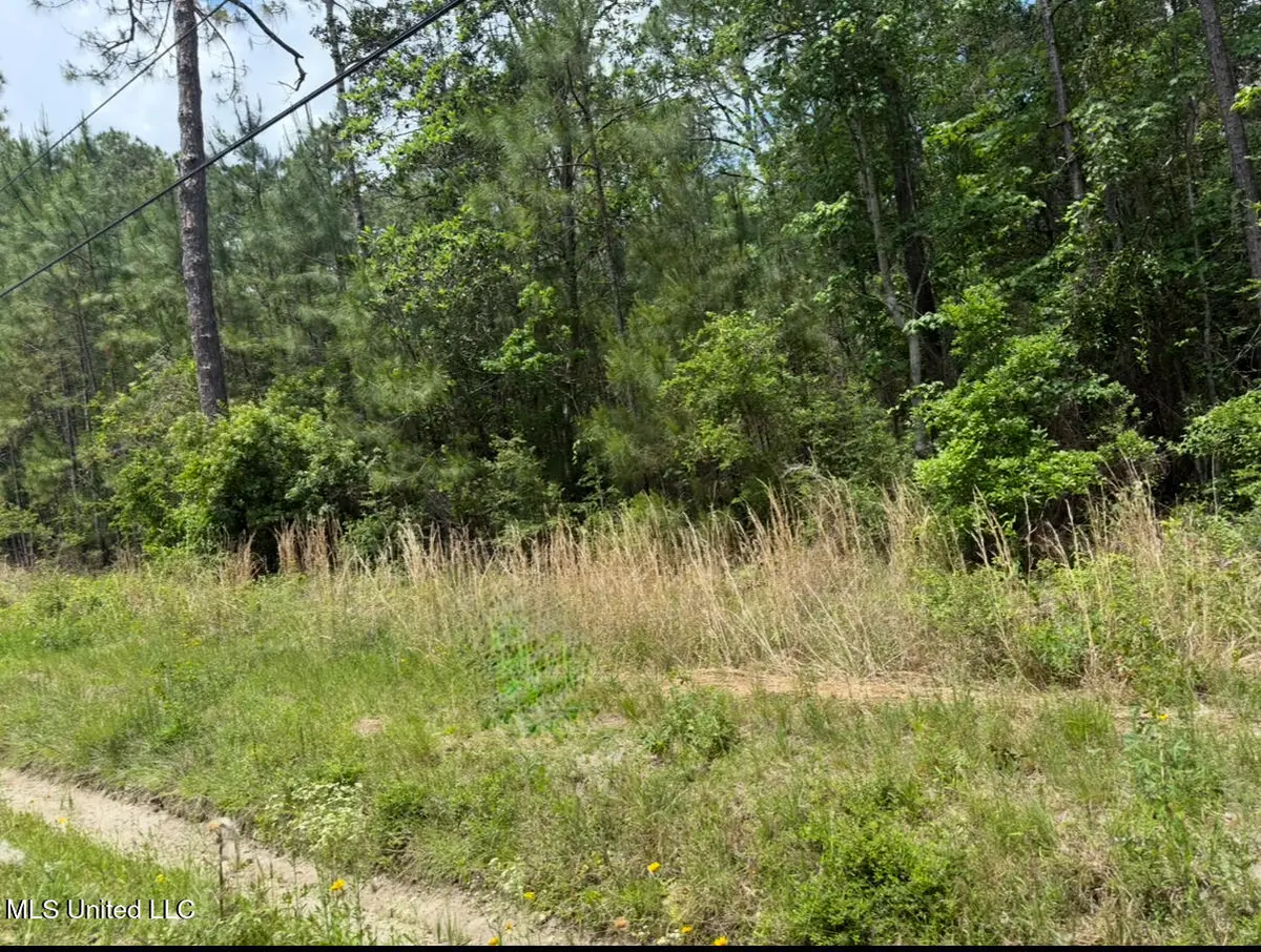 W Adams Street, Bay Saint Louis, MS 39520 - Image #1