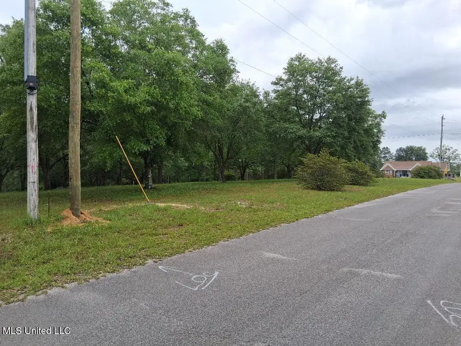 Redgate Road, Lucedale, MS 39452 - Image #3