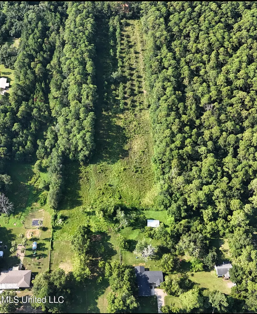 14209 Big Ridge Road, Biloxi, MS 39532 - Image #3