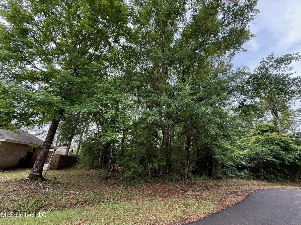 6824 Apona Street, Diamondhead, MS 39525 - Image #1