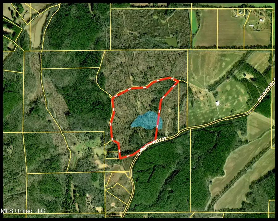 County Road 107, Oxford, MS 38655 - #3