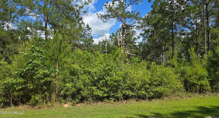 Mellie Lane, Leakesville, MS 39451 - Image #2