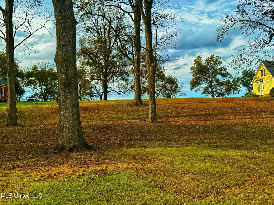 7 Yazoo Pass Drive, Dundee, MS 38626 - Image #2