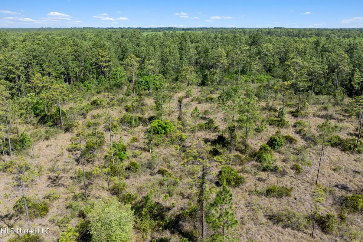 Shiprock Street, Helena, MS 39567 - #1