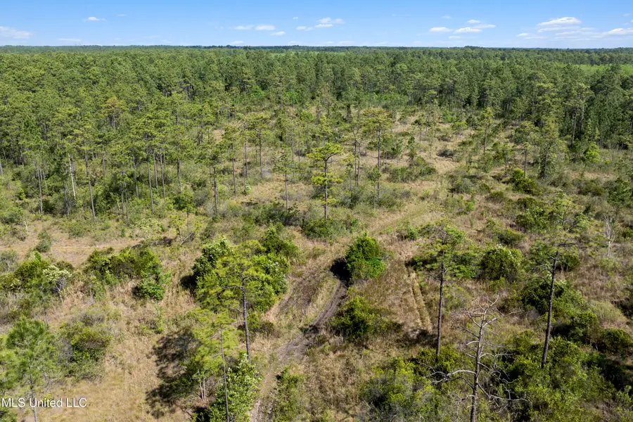 Shiprock Street, Helena, MS 39567 - #2