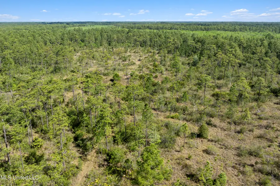 Shiprock Street, Helena, MS 39567 - #3