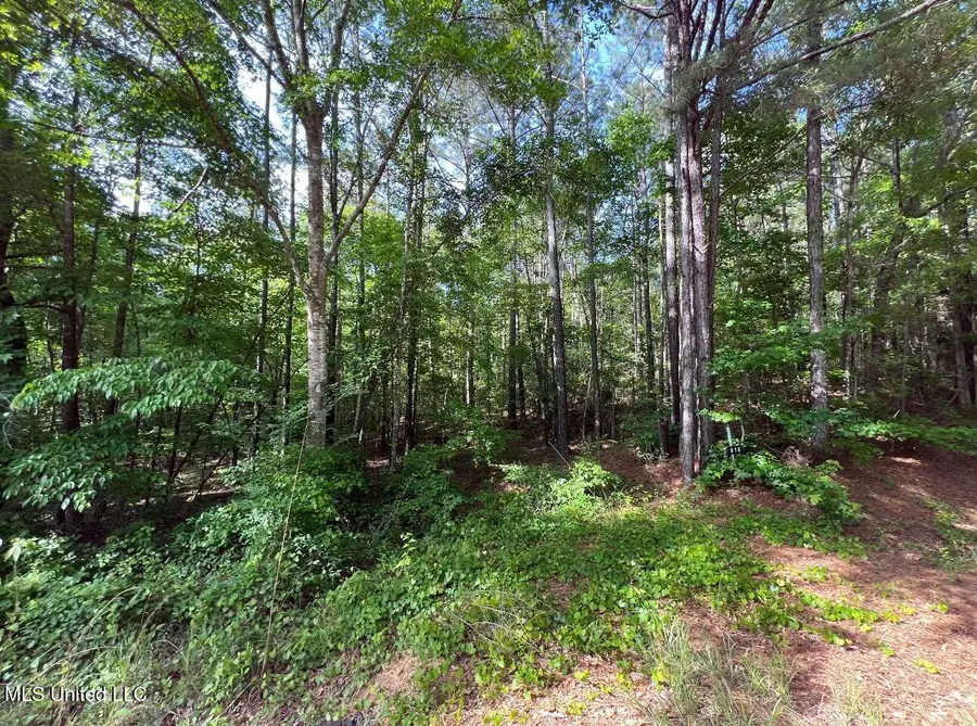 916 Virgin Mary Road, Camden, MS 39045 - Image #2