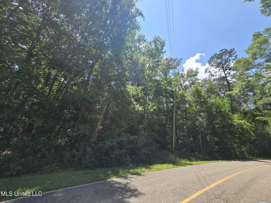 116 E Sunnybrook Road, Carriere, MS 39426 - Image #2