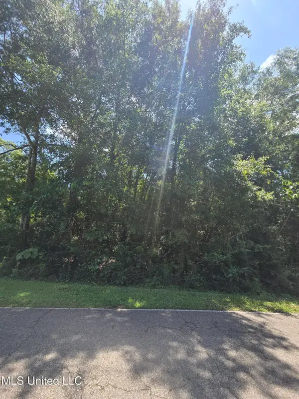 227 E Sunnybrook Road, Carriere, MS 39426