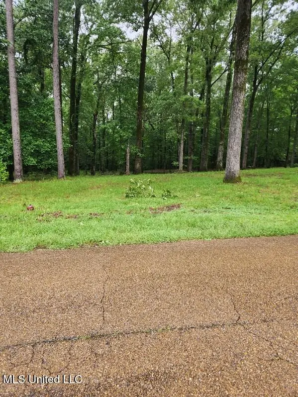 Lot 10 Country Squire Road, Natchez, MS 39120 - Image #1