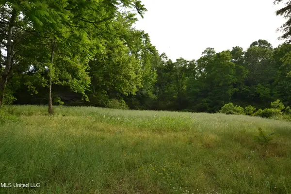 443 Highway 305 N, Olive Branch, MS 38654