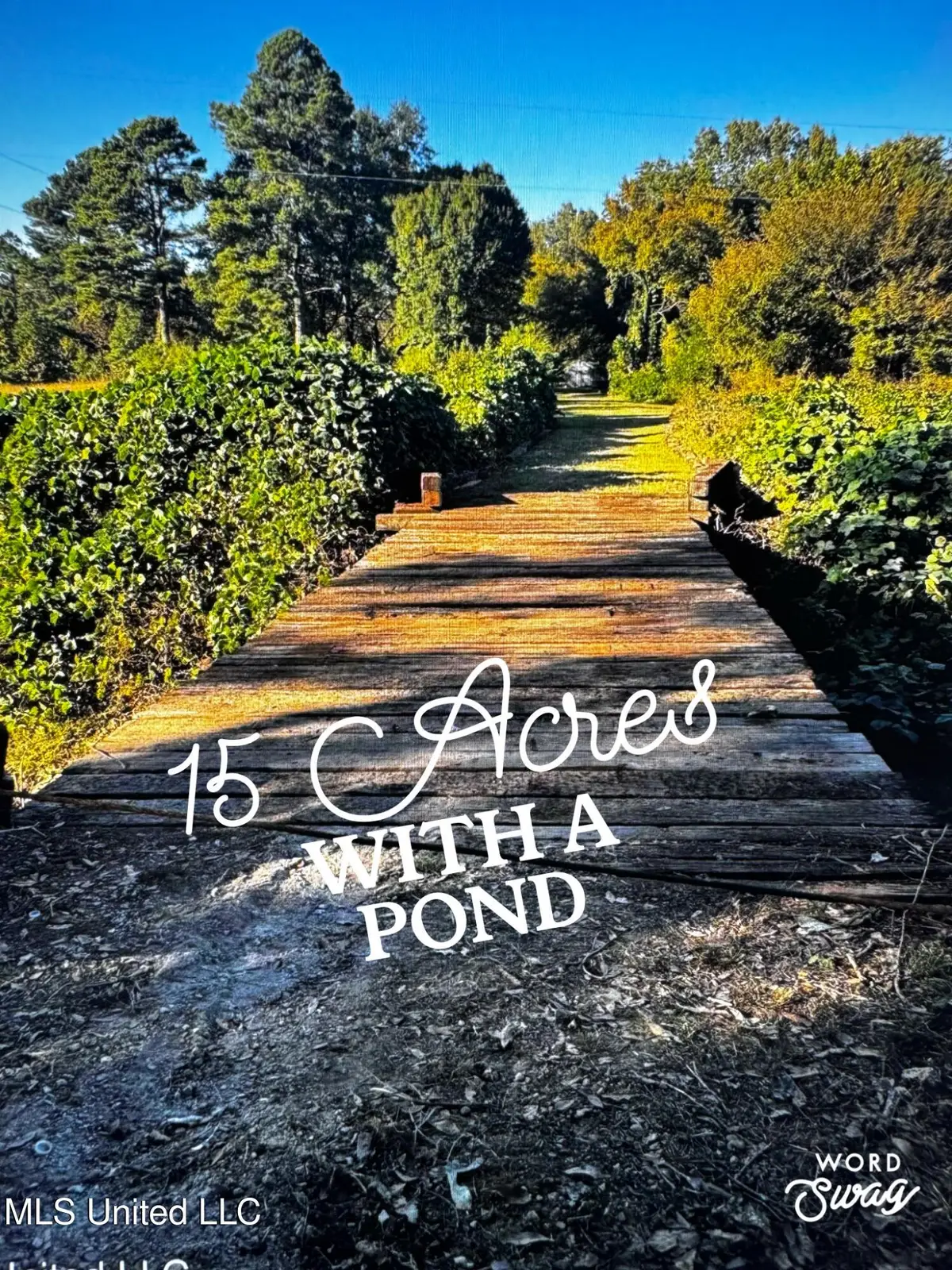 4595 Lucius Taylor Road, Como, MS 38619 - Image #1