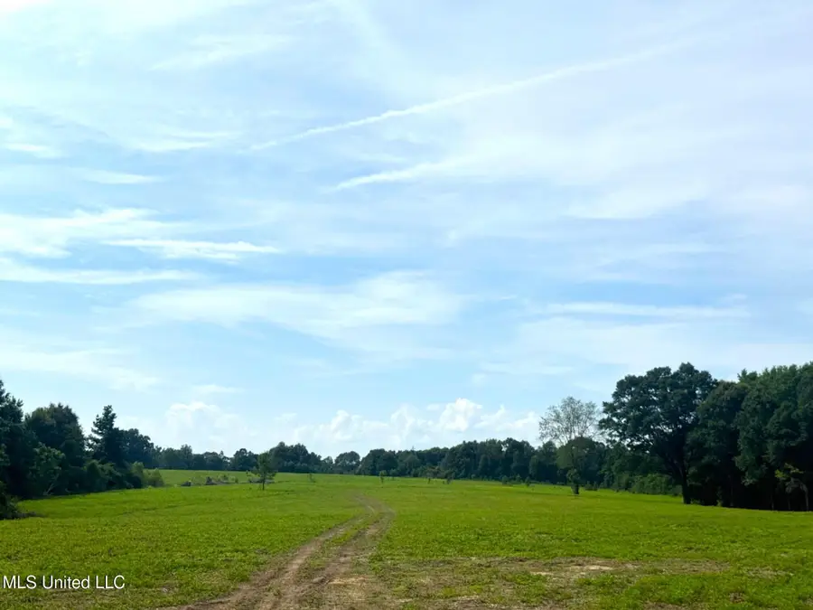 Lester Seals Road, Lumberton, MS 39470 - Image #3