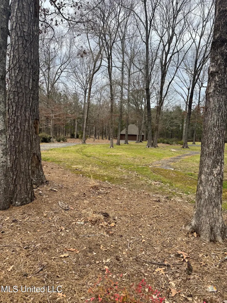 Fountains Cove, Brandon, MS 39047 - #2