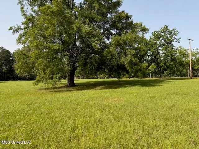 Flag Chapel Road, Jackson, MS 39209 - Image #1