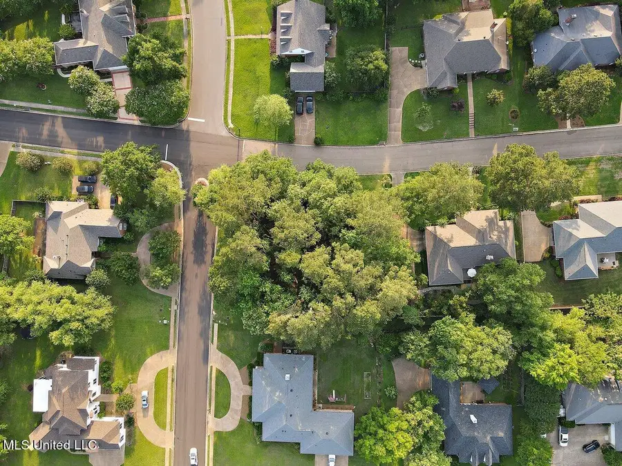 Thorngate Drive, Brandon, MS 39042 - Image #3