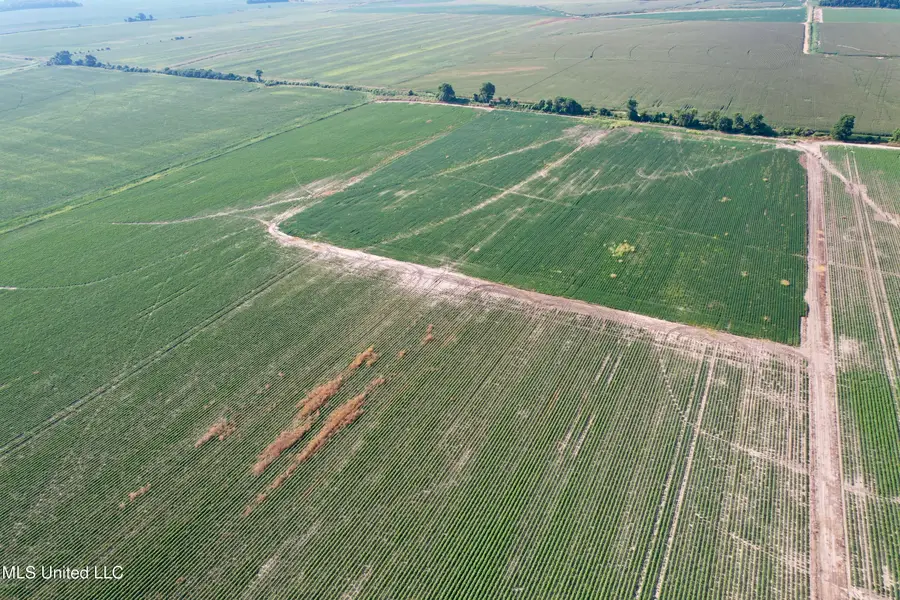 Farrell Road, Clarksdale, MS 38614 - Image #3