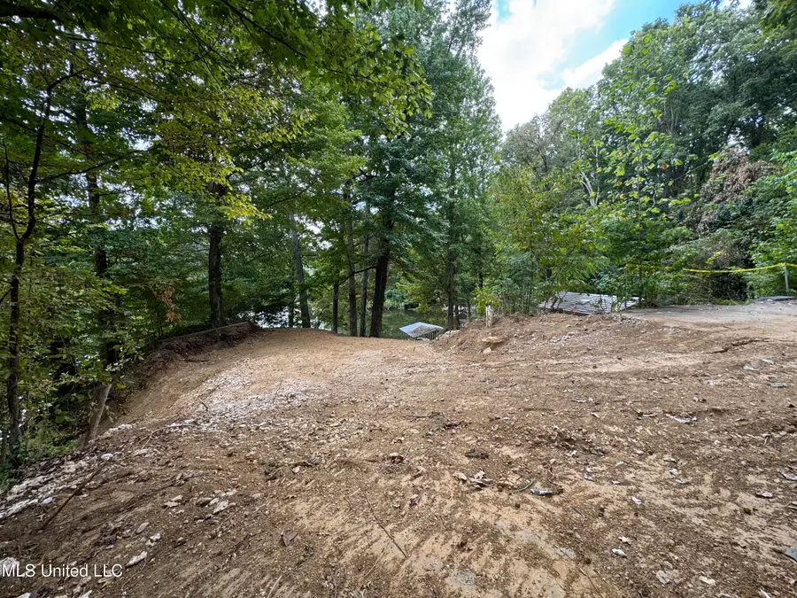 3090 Hickory Drive, Hernando, MS 38632 - Image #2