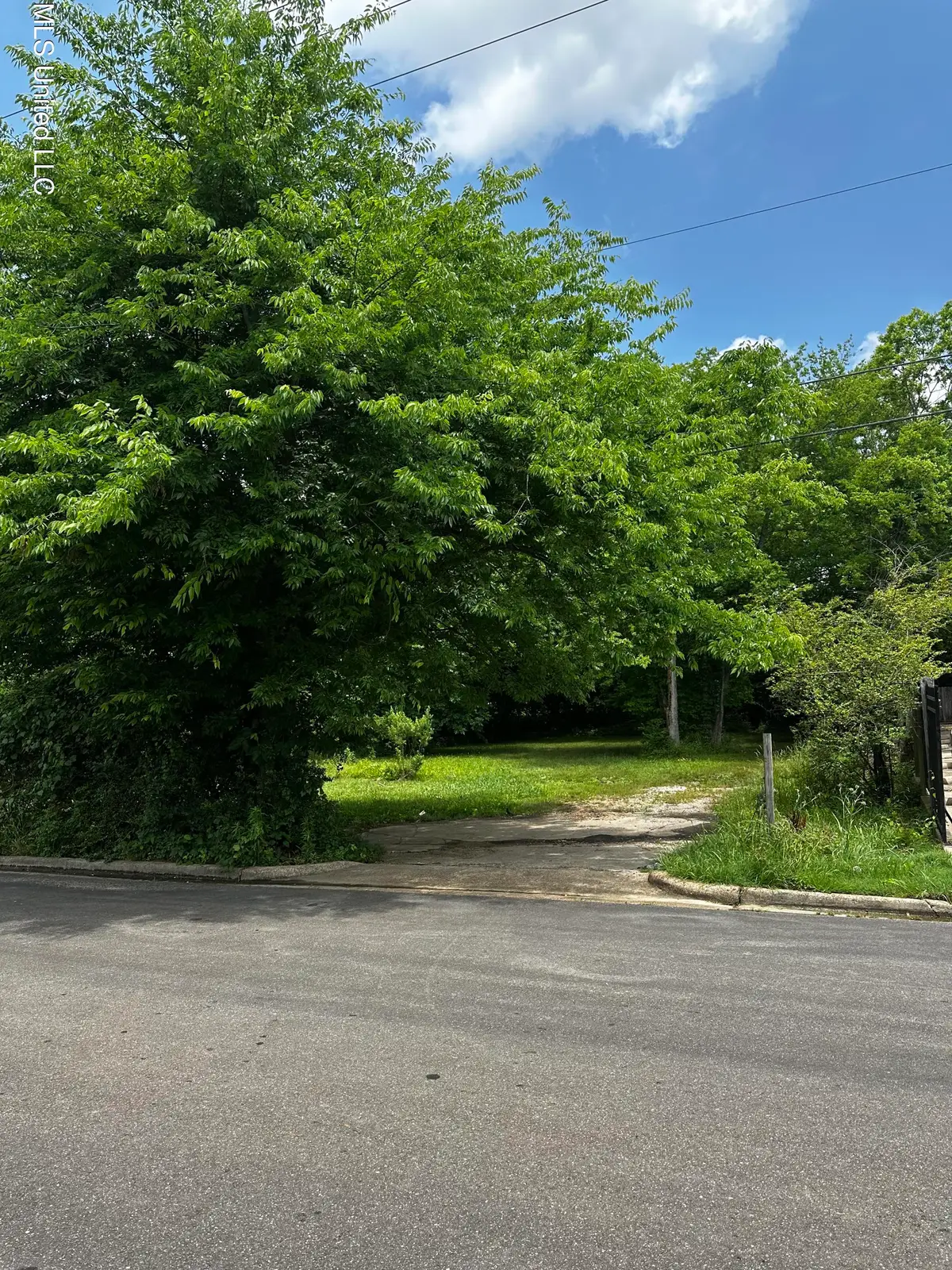 633 Vine Street, Starkville, MS 39759 - Image #1