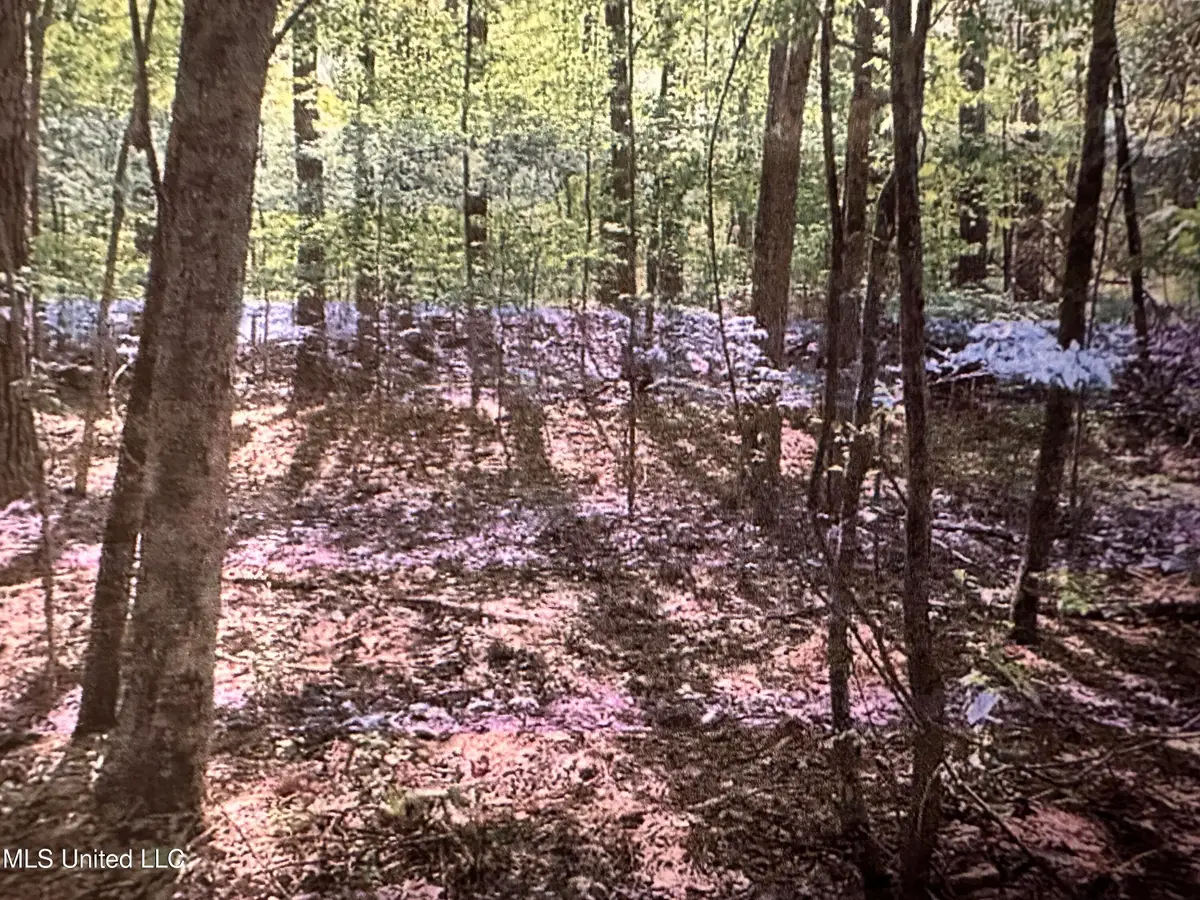 Stigler Rosa Dr., Florence, MS 39073 - Image #1