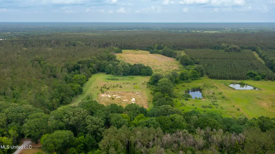Horseshoe Lane, Flora, MS 39071 - #2
