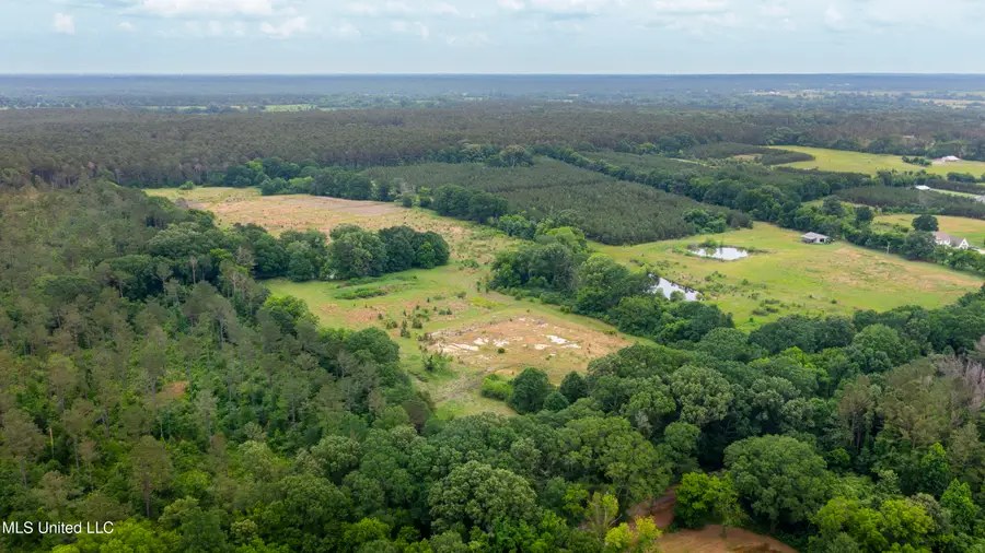 Horseshoe Lane, Flora, MS 39071 - #3