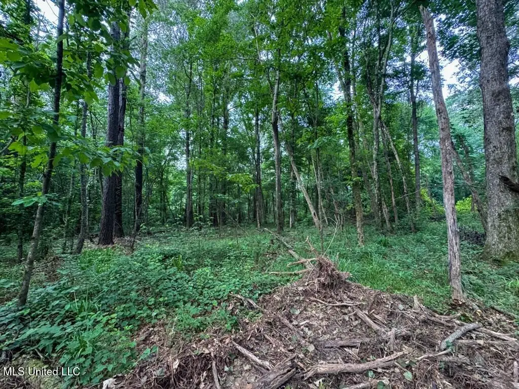 2 Old Hamburg Road, Roxie, MS 39661 - Image #1