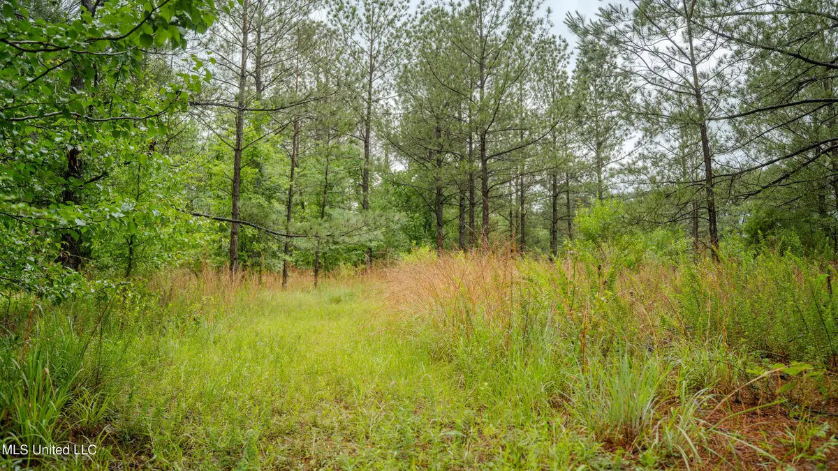 0000 Henderson Road, Jackson, MS 39272 - Image #1