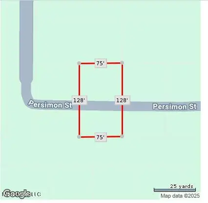 Persimmon Avenue, Ocean Springs, MS 39564