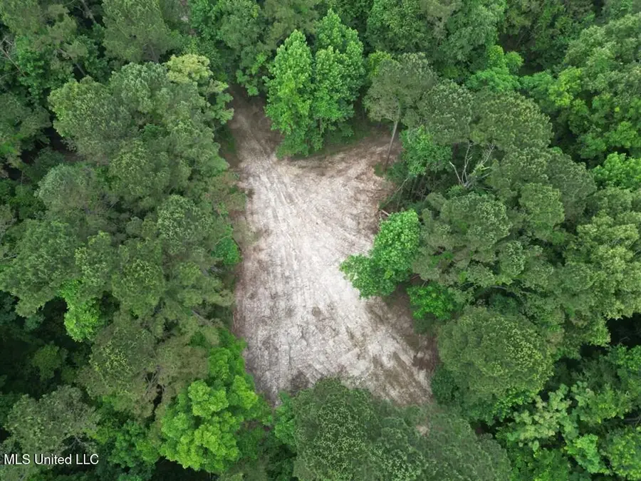 3 Old Hamburg Roxie Road, Roxie, MS 39661 - Image #3