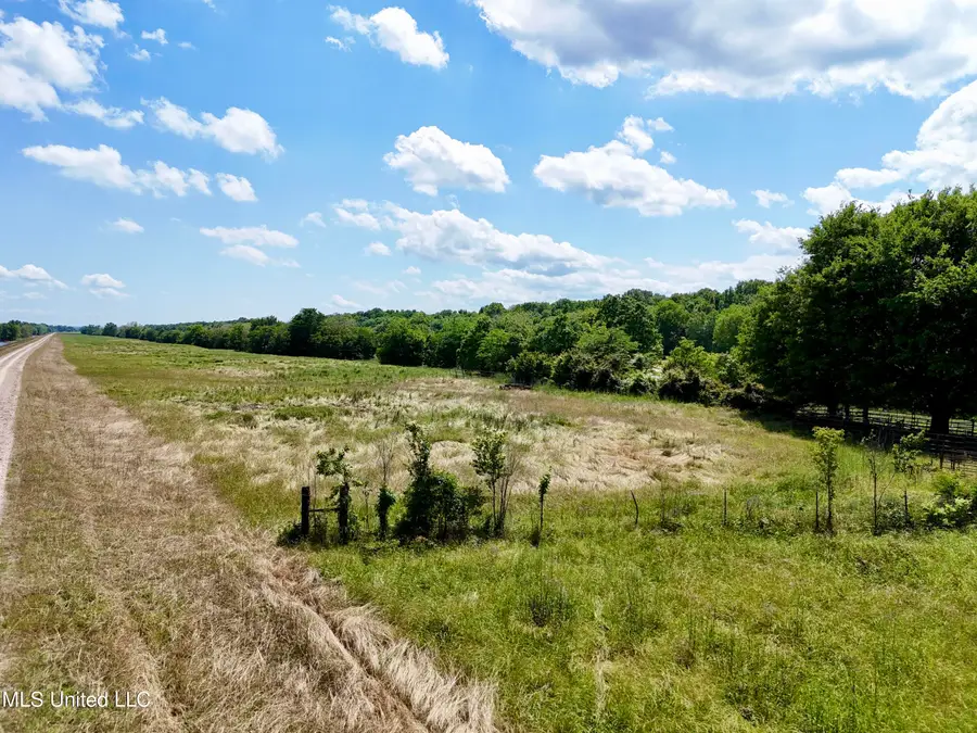 0001 Levee Maintenance Road, Redwood, MS 39156 - Image #2