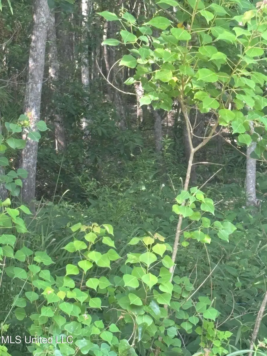 Cantania/ridge Road, Bay Saint Louis, MS 39520 - Image #3