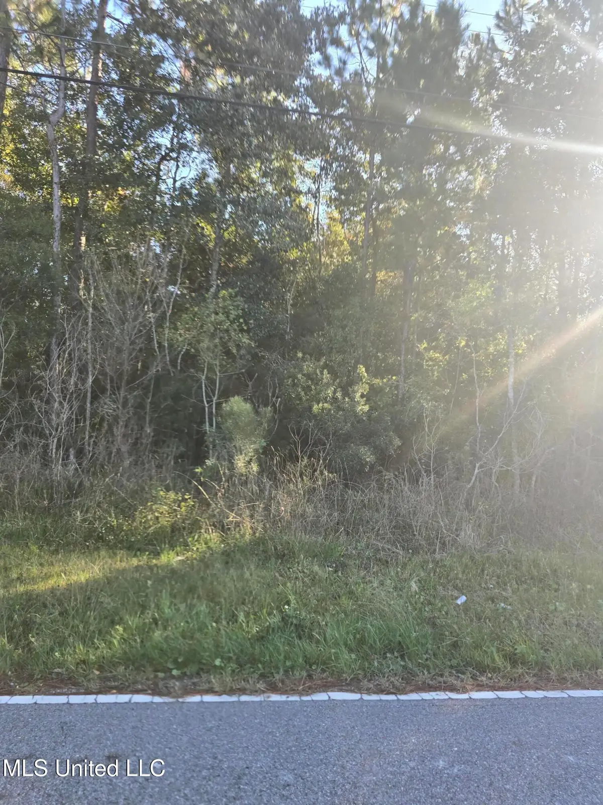 Allen Road, Vancleave, MS 39565 - Image #1