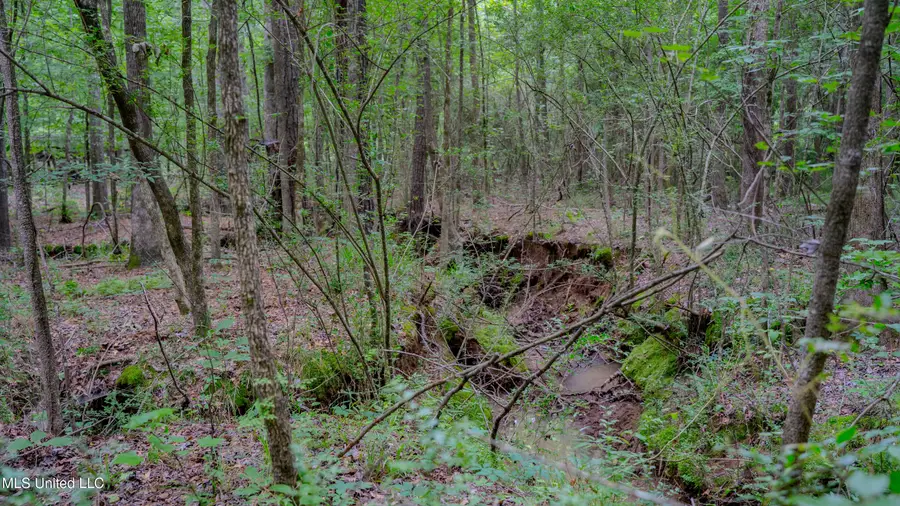 Oooo Big Creek Road, Byram, MS 39272 - Image #3
