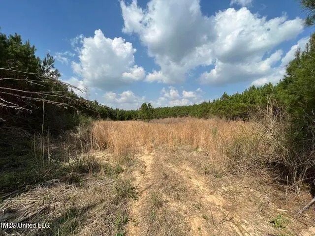 0 Honeysucker Road, Camden, MS 39045 - Image #3