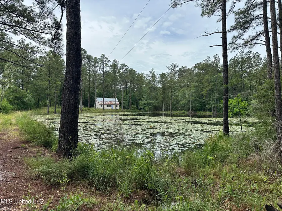 261 Tom Chance Road, Poplarville, MS 39470 - Image #2