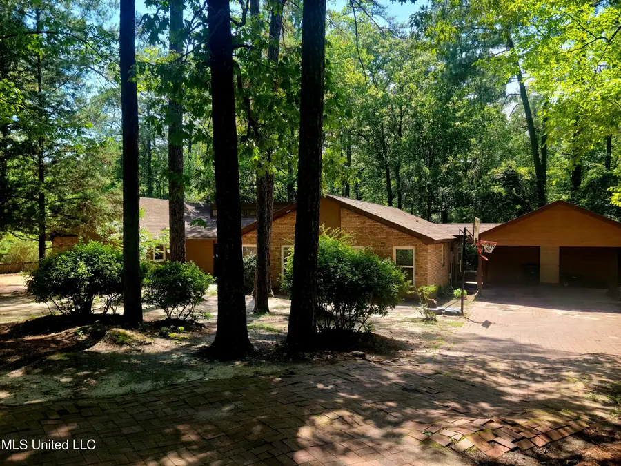 54 Pinewood Drive, Petal, MS 39465 - Image #3